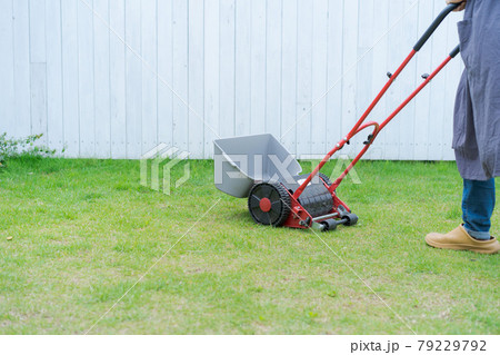 芝刈り 庭仕事 芝刈り 庭仕事 79229792