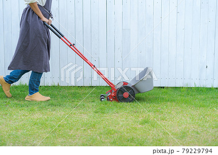 芝刈り　庭仕事 79229794