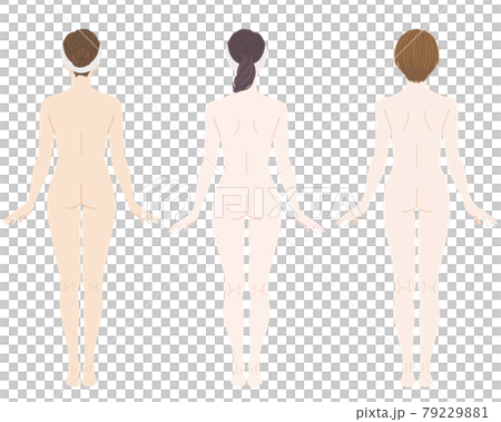 骨格診断 パーソナルカラー 肌の色と体型の違う3人の女性 後ろ姿のイラスト素材