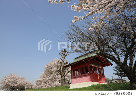 さいたま市見沼区膝子の春の風景 さいたま市見沼区膝子の春の風景 79230003