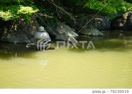 南楽園の上池の灯ろう 南楽園の上池の灯ろう 79230019