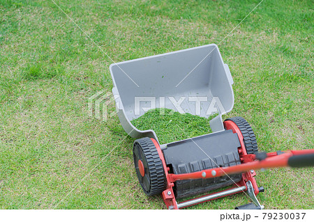 芝刈り機　芝生 79230037