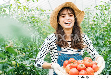 ビニールハウスで仕事をする女性　 79230774