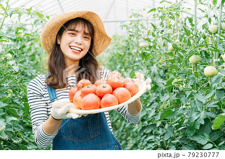 ビニールハウスで仕事をする女性 ビニールハウスで仕事をする女性 79230777