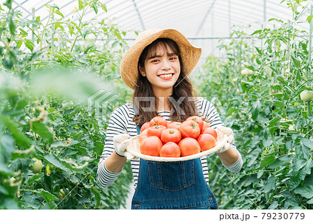 ビニールハウスで仕事をする女性 ビニールハウスで仕事をする女性 79230779