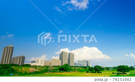 東京風景　下丸子　多摩川 79231002