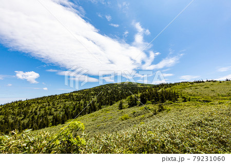森吉山 夏 森吉山 夏 79231060