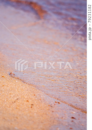 Soft wave of the sea on the sandy beach. 79231182