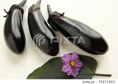収穫したばかりのナス 79231663
