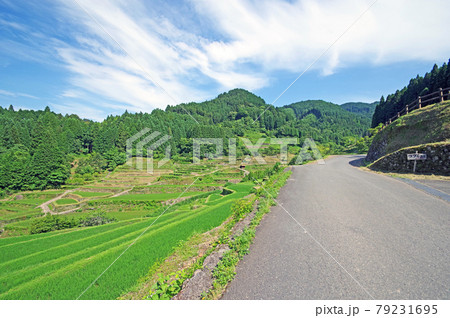 日本棚田百選福岡県うきは市のつづら棚田の風景 日本棚田百選福岡県うきは市のつづら棚田の風景 79231695