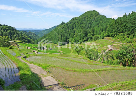 日本棚田百選福岡県うきは市のつづら棚田の風景 79231699