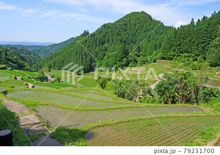 日本棚田百選福岡県うきは市のつづら棚田の風景 79231700