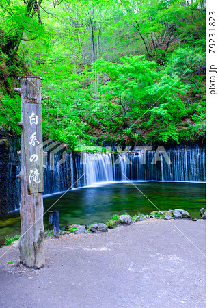 白糸の滝(軽井沢) 白糸の滝(軽井沢) 79231823