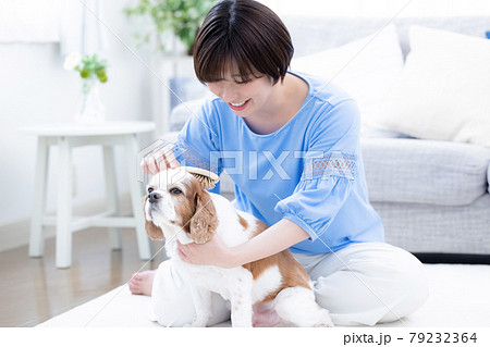 愛犬のブラッシングをする若い女性 79232364