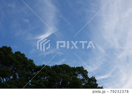 楠木の森と箒雲 79232378