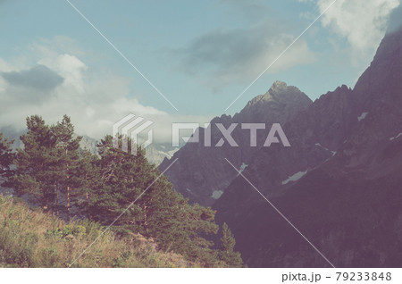 Closeup mountains and forest scenes in national park Caucasus, Russia 79233848