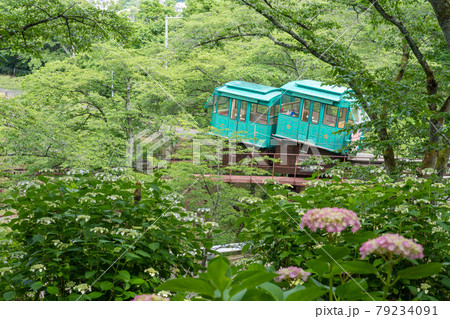 船岡城址公園の紫陽花とスロープカーのある風景 船岡城址公園の紫陽花とスロープカーのある風景 79234091