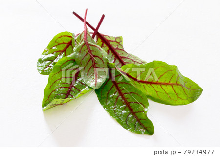 Spinach leaves on a white background, selective focus. Spinach leaves on a white background, selective focus. 79234977