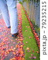 落ち葉の絨毯のような道を歩く人 落ち葉の絨毯のような道を歩く人 79235215