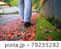 落ち葉の絨毯のような道を歩く人 落ち葉の絨毯のような道を歩く人 79235282
