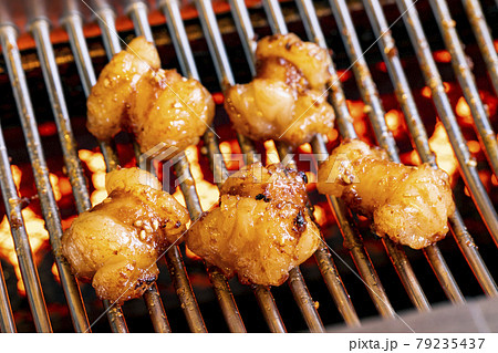 ホルモン焼肉 79235437