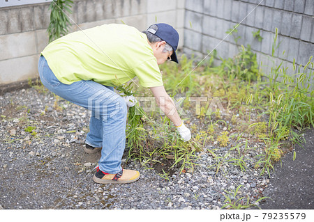 除草作業をする高齢者 79235579