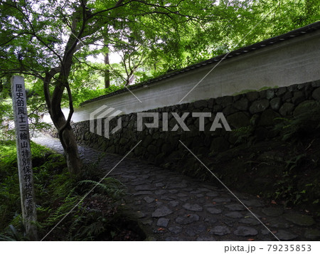 山の辺道 山の辺道 79235853