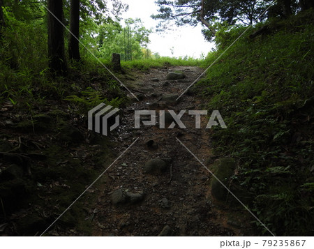 山の辺道 山の辺道 79235867