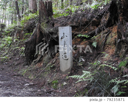 山の辺道 79235871