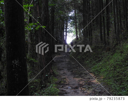 山の辺道 山の辺道 79235873