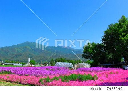 南信州の風景 その2107 南信州の風景 その2107 79235904