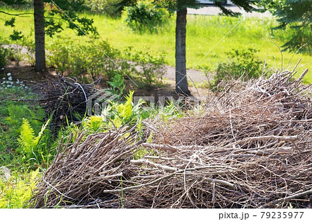 環境管理 エコロジーイメージ 環境管理 エコロジーイメージ 79235977