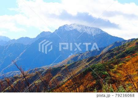 麗しき北アルプス　その2107　：　信州の紅葉　その2107      ；　紅葉の八方尾根 79236068