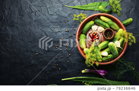 Homemade cucumber pickling and ingredients,copy space 79236646