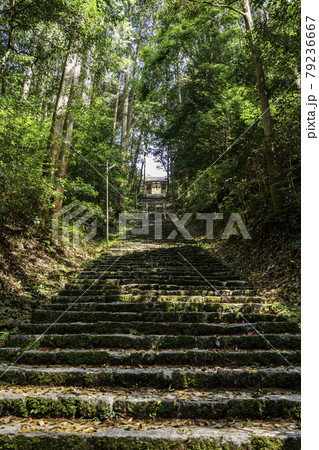 高岡神社　参道　岡山県真庭市 79236667