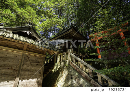 高岡神社　四十疫神社　岡山県真庭市 79236724