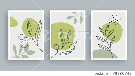 olive branch botanical wall art painting background. Foliage art and hand drawn line with abstract shape. Mid century scandinavian nordic style. 79236745