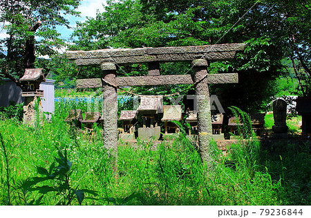 古来の祠と石碑 その2107 古来の祠と石碑 その2107 79236844