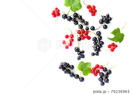 Berries of black and red currants isolated on white background. Still life, diet and nutrition concept. Flat lay. Top view. 79236963
