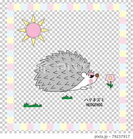 Cute animal series hedgehog Cute animal series hedgehog 79237917