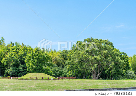平原遺跡(ひらばるいせき) 福岡県糸島市 平原遺跡(ひらばるいせき) 福岡県糸島市 79238132