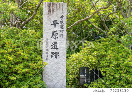 平原遺跡（ひらばるいせき）　福岡県糸島市 79238150