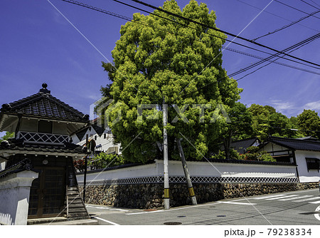 新見御殿町　温故館　渡辺屋敷　岡山県新見市 79238334
