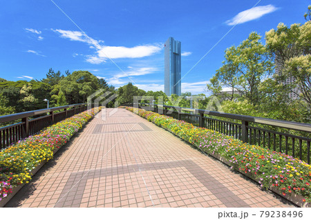 都会のオアシス 79238496
