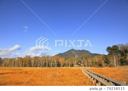 秋の尾瀬ヶ原 79238515
