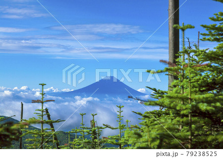 雲海と富士山 79238525