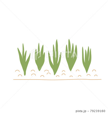 Sprouts in the garden, an element of gardening. Cute vector illustration. Sprouts in the garden, an element of gardening. Cute vector illustration. 79239160