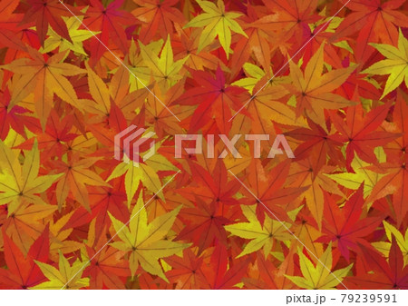 紅葉で埋まった背景イラスト No 02のイラスト素材