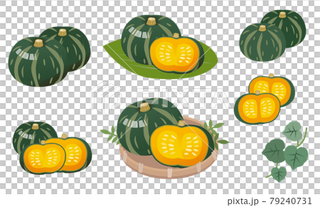 かぼちゃのイラストセット　野菜　秋の味覚 79240731
