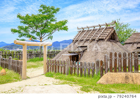 初夏の吉野ヶ里遺跡　佐賀県神埼郡 79240764